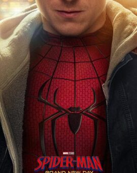 SPIDERMAN BRAND NEW DAY